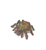こぐも